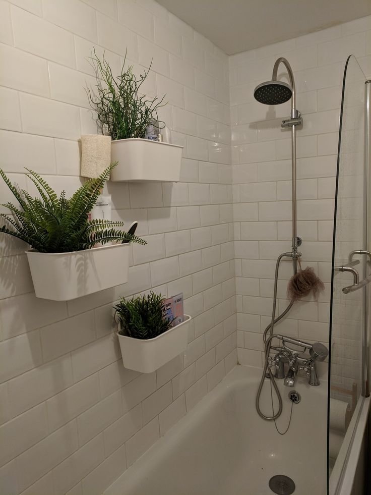 Wall-mounted planters bringing fresh greenery to a bathroom