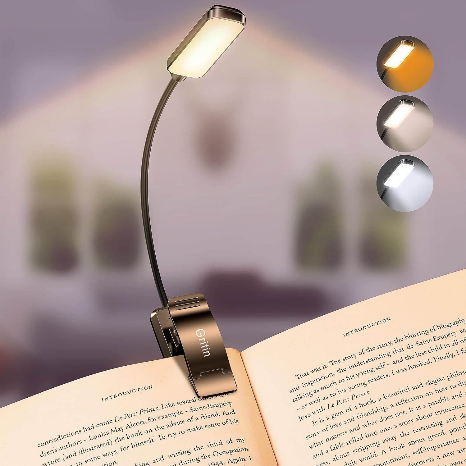 Gritin 9 LED Rechargeable Clip-On Book Light