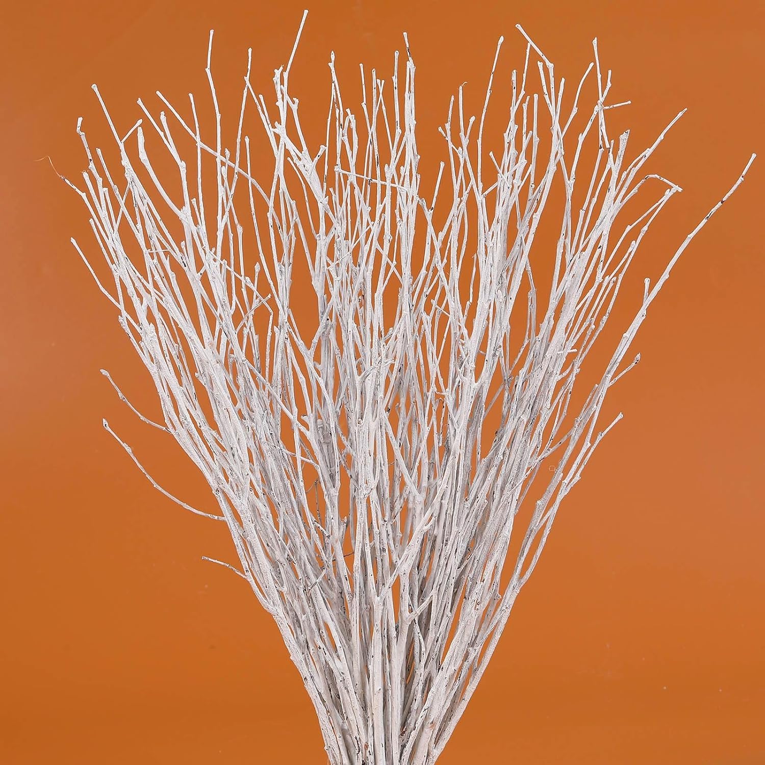30 Pcs Real Dried White Birch Twigs, 17 Inch, Decorative Branches for Vases