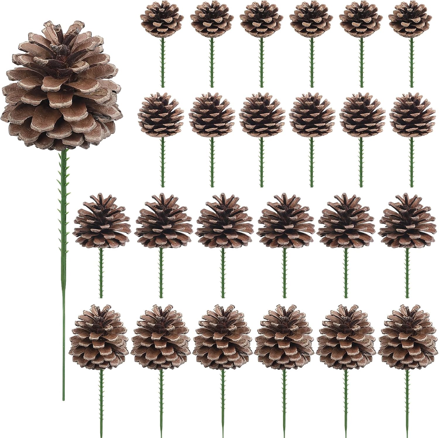24 Pieces Natural Pine Cones with Wired Stems, Various Sizes, Christmas Decor