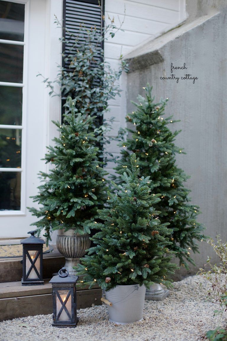 Three Christmas trees of varying heights in aged stone urns and a galvanized bucket beside black lanterns on a gravel path