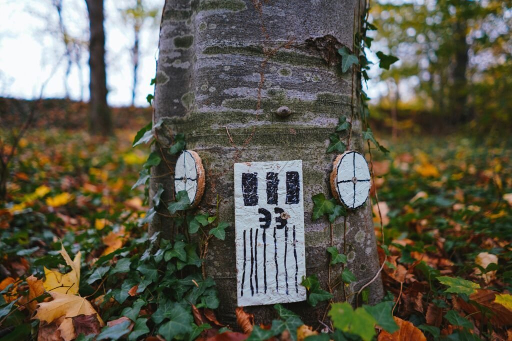 Tiny whimsical painted fairy door and wood-slice details tucked into the base of a tree trunk surrounded by ivy and fallen leaves