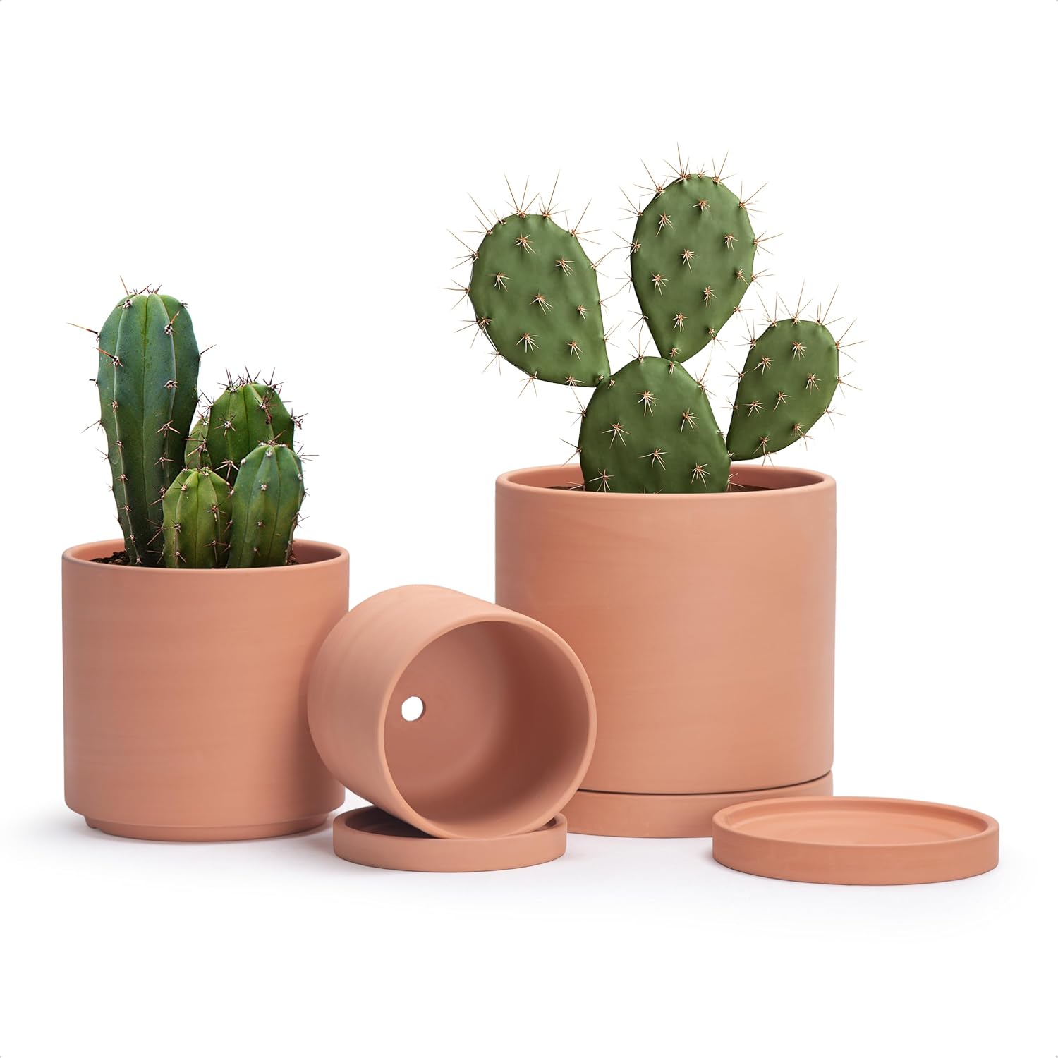 D'vine Dev Classic Terracotta Pots with Saucers, 3 Pack