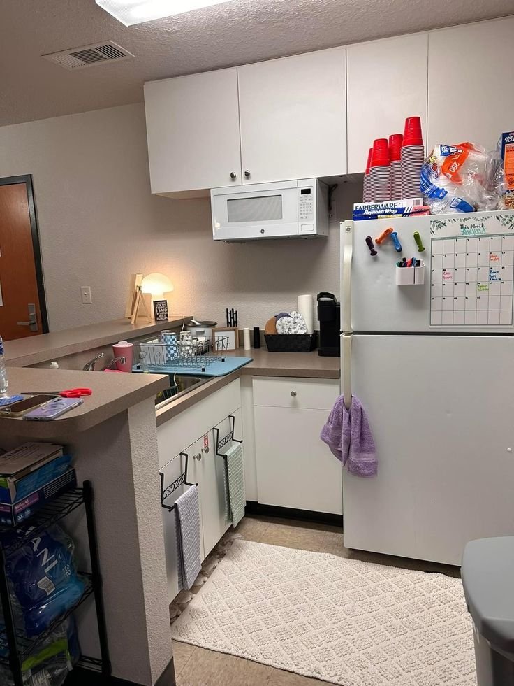 Small shared dorm kitchenette with a mini-fridge, microwave, over-the-sink dish rack and towels hanging from the cabinet