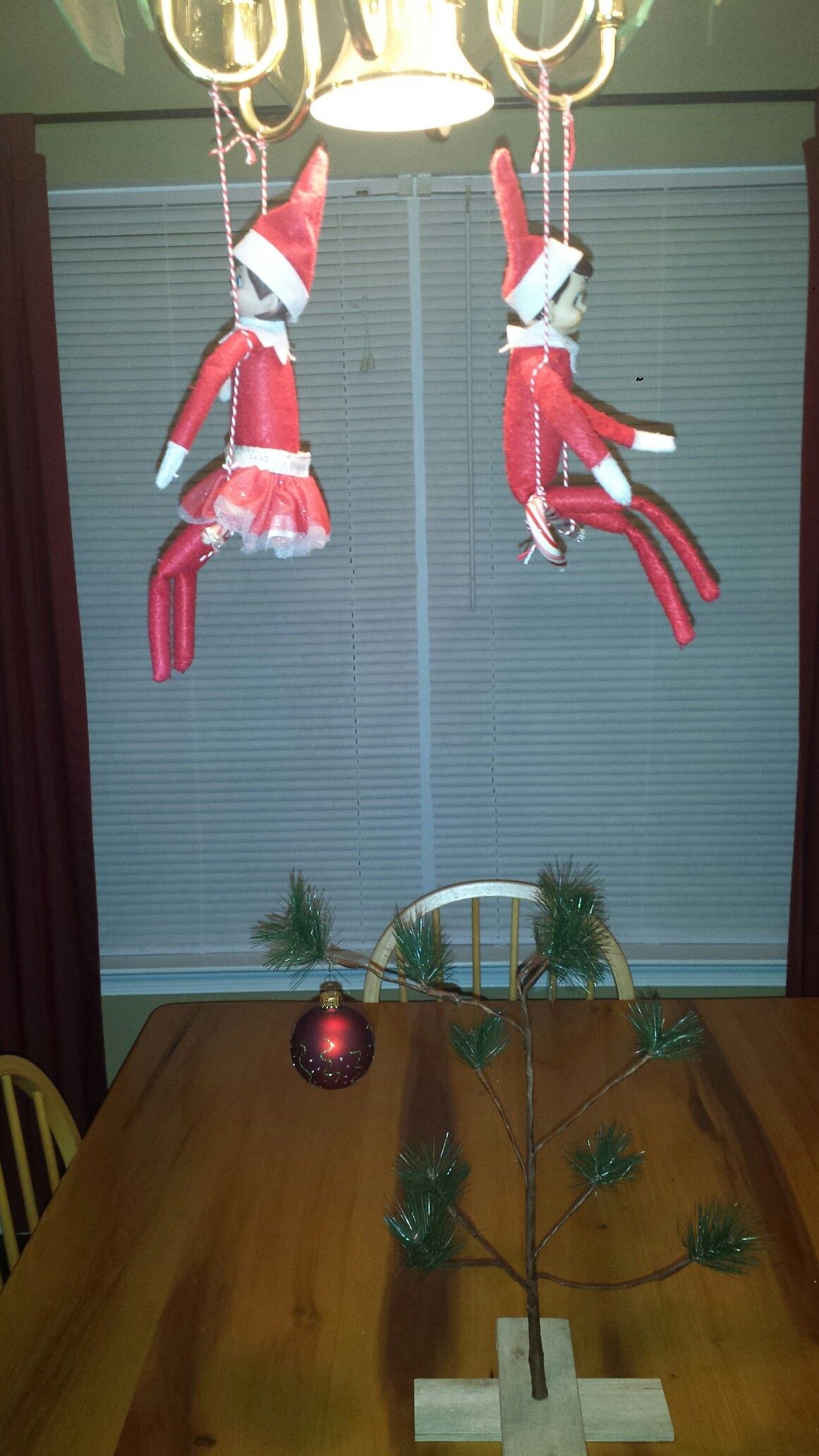 Two Elf on the Shelf dolls swinging from candy canes tied with string to a chandelier above a mini Christmas tree