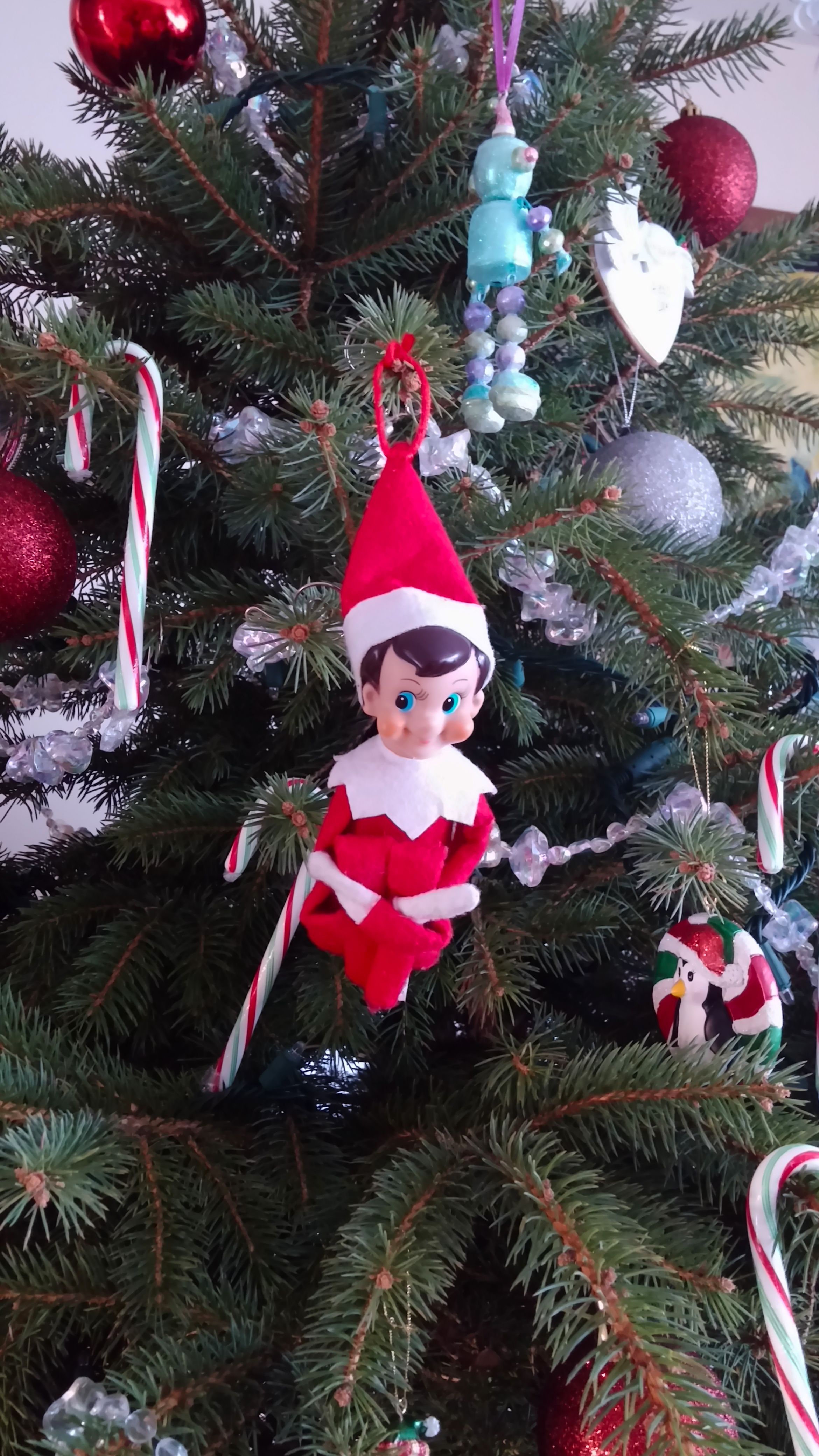 Elf on the Shelf hanging as an ornament inside a decorated Christmas tree next to candy canes and glass baubles