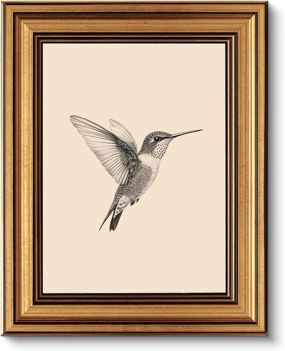 VIYYIEA Vintage Gold Framed Hummingbird Sketch Prints, 8 x 10 Inch