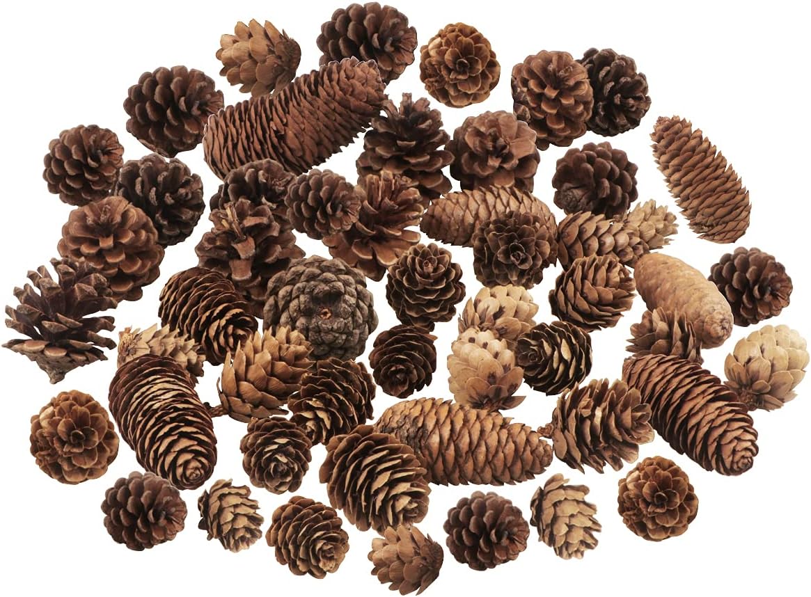 Rustic Pine Cone Decorations, 40 Pcs, Large, Medium and Mini Sizes