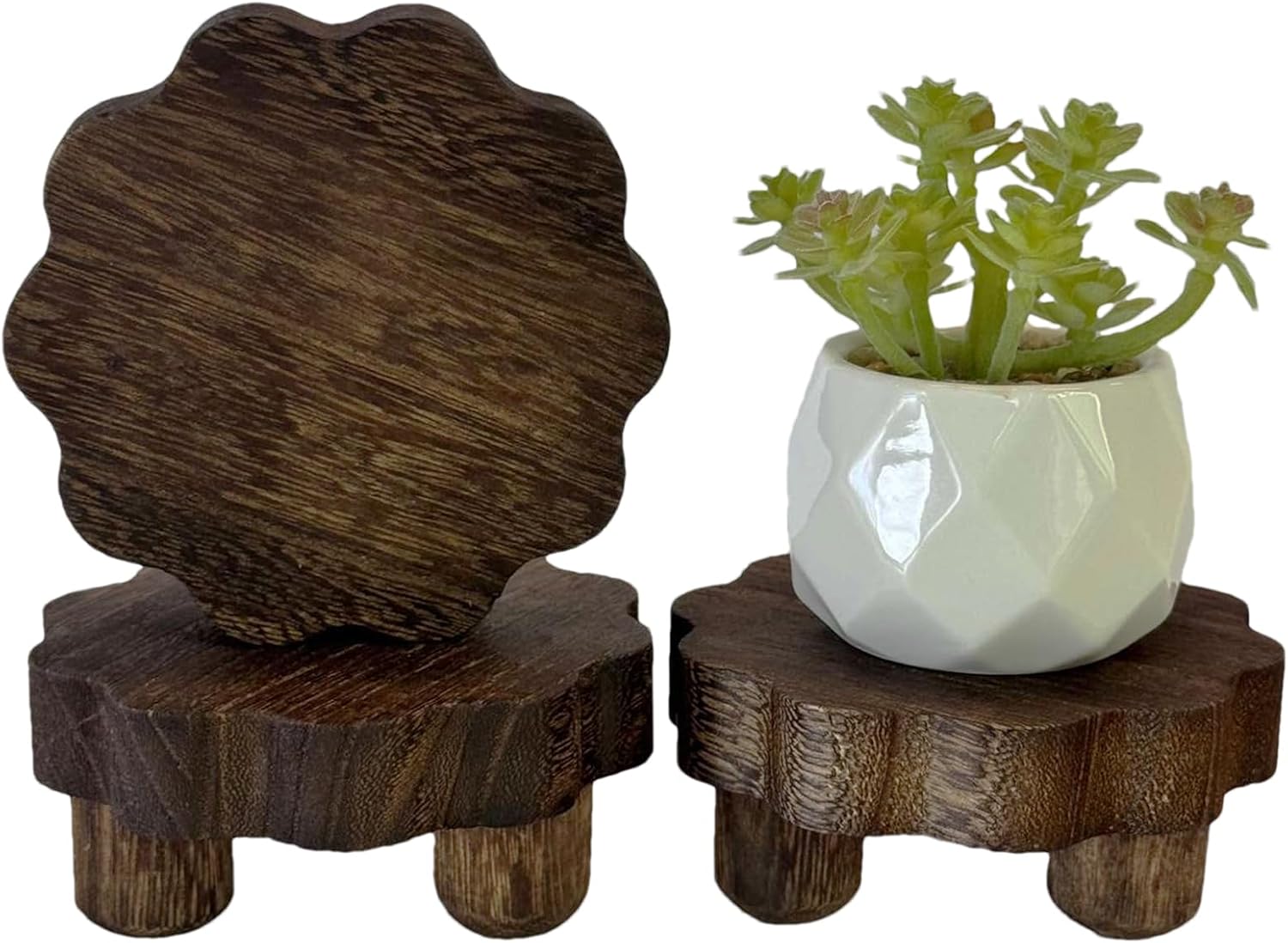 Tiny Scalloped Wood Risers for Display, 3 Pack, Removable Feet