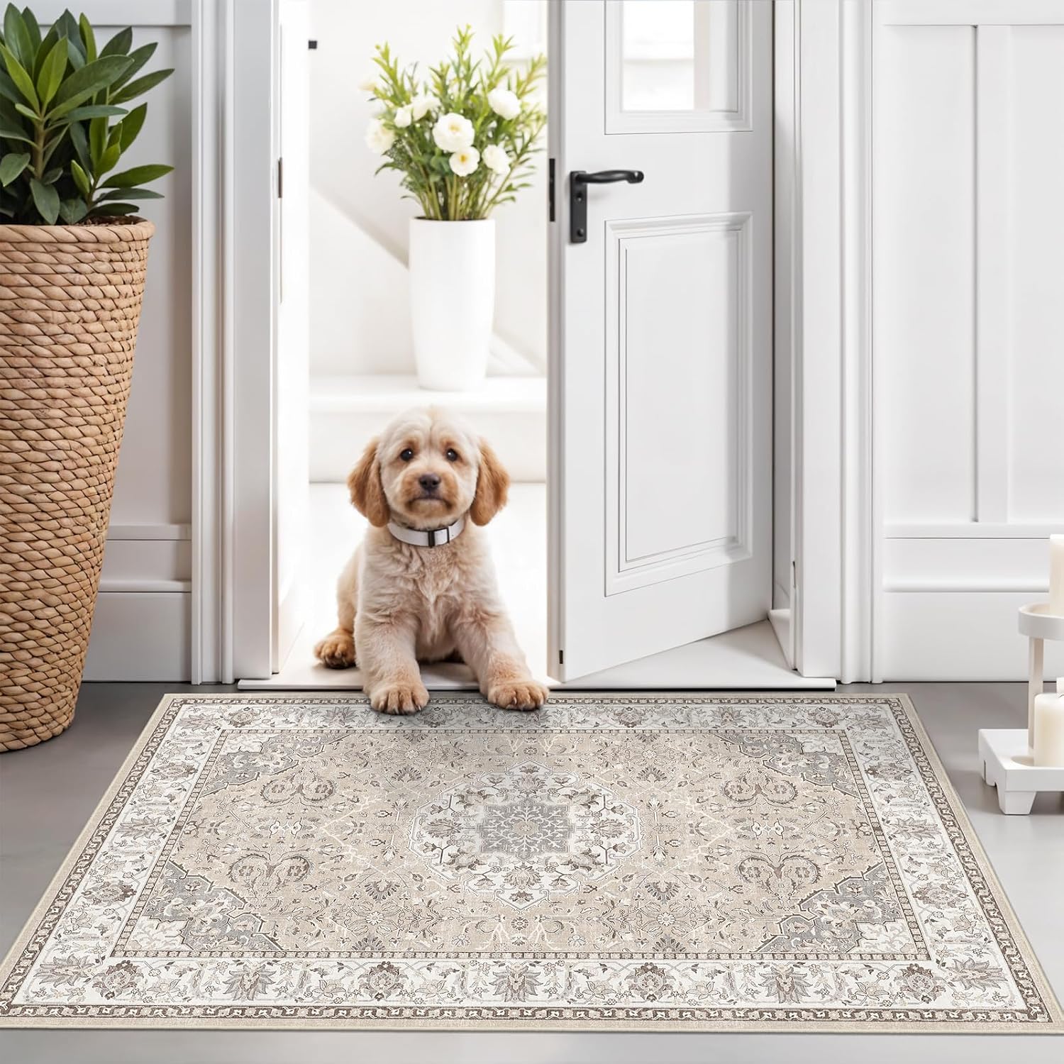 Washable 2 x 3 Entryway Area Rug, Neutral Vintage Soft Non-Slip Floor Mat