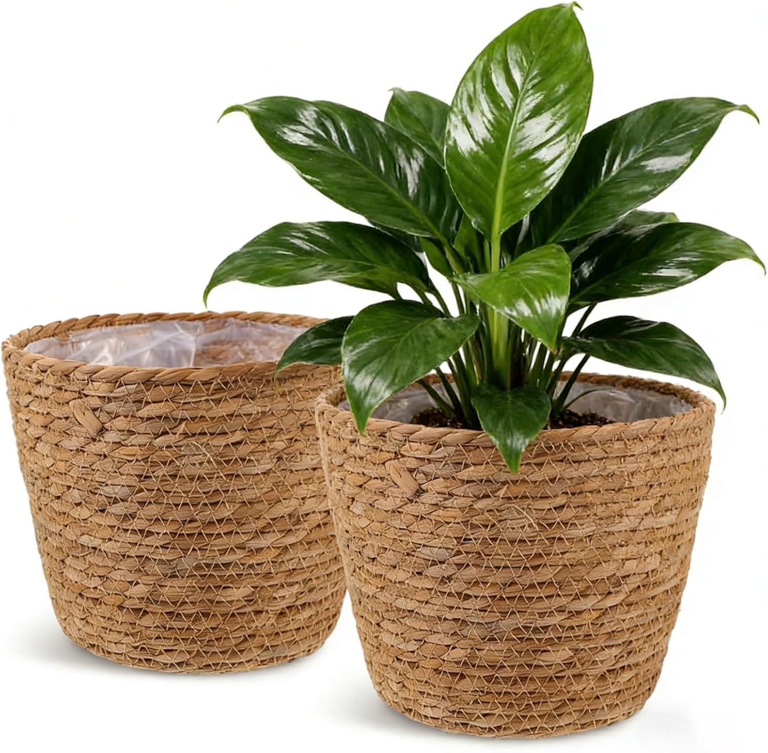 Seagrass Plant Baskets with Liner, 2 Pcs, Wicker Planters for 6 Inch Pots