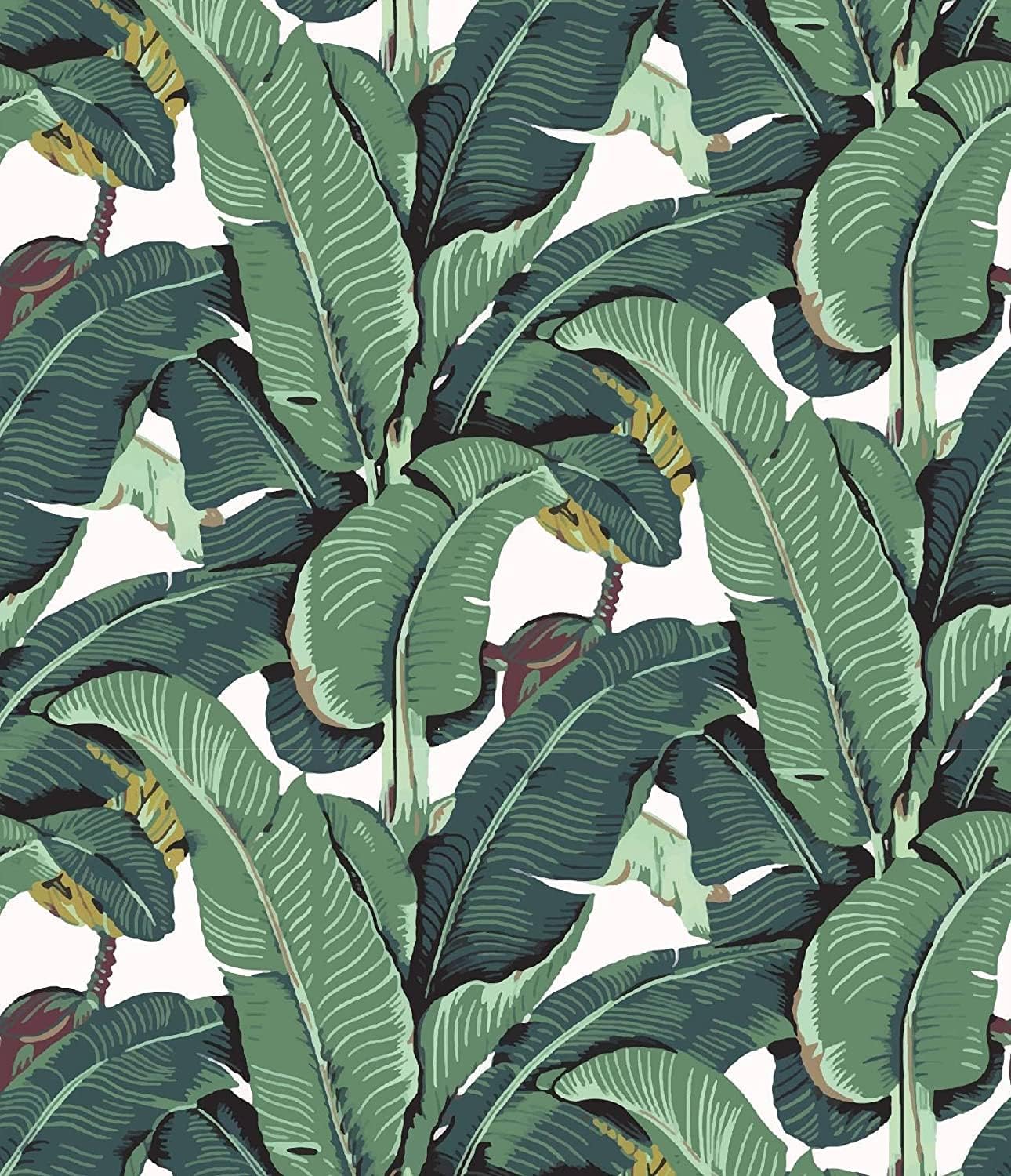 Tropical Palm Leaf Peel and Stick Wallpaper, Green Banana Leaves