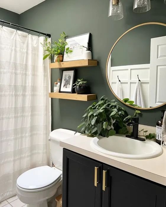 Light green paint color used to open up a small bathroom visually