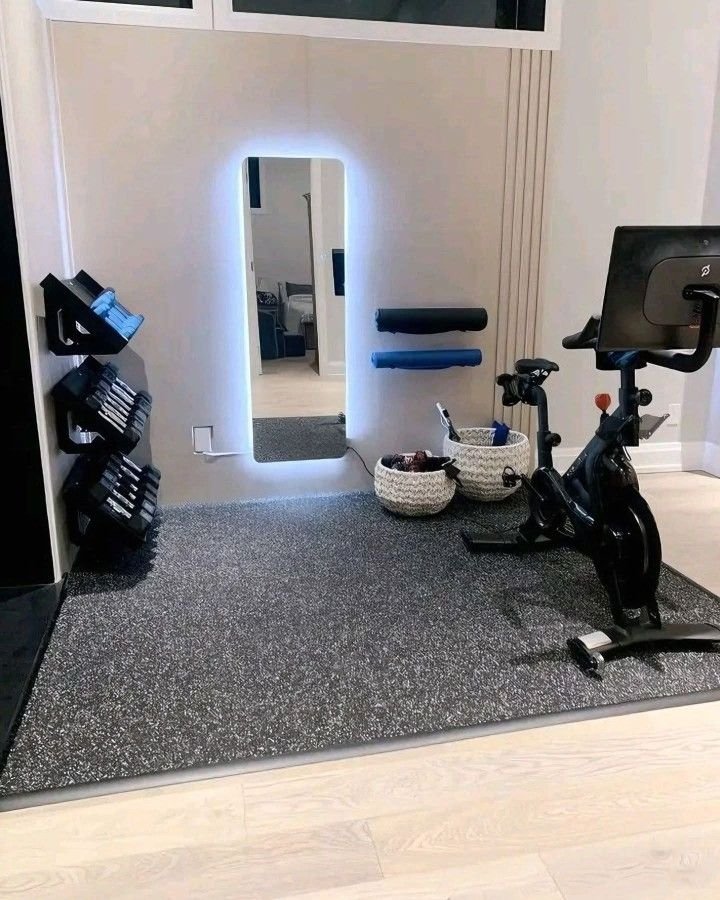 Cardio-focused home gym with a stationary bike and rowing machine set up near a window