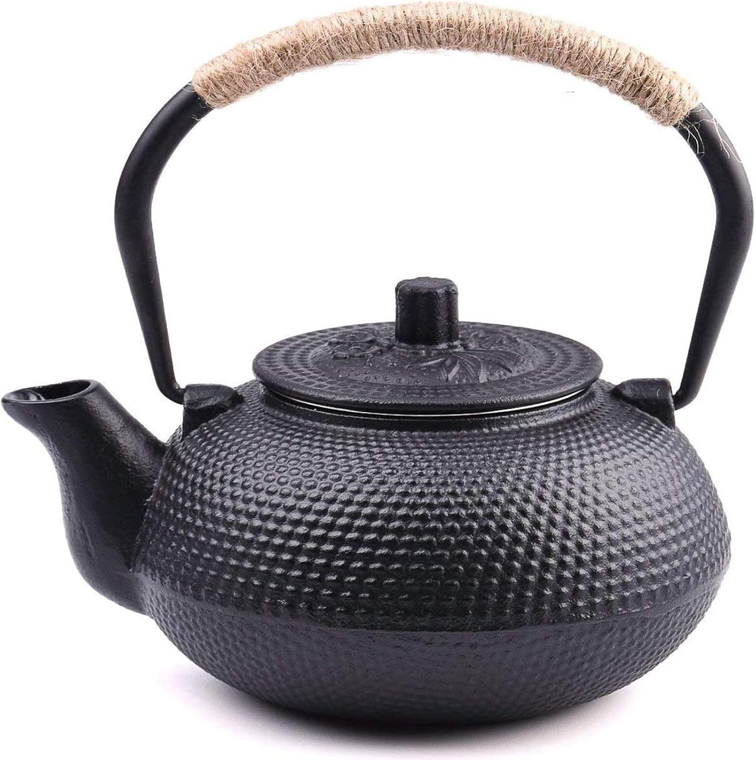suyika Japanese Tetsubin Cast Iron Teapot with Stainless Steel Infuser