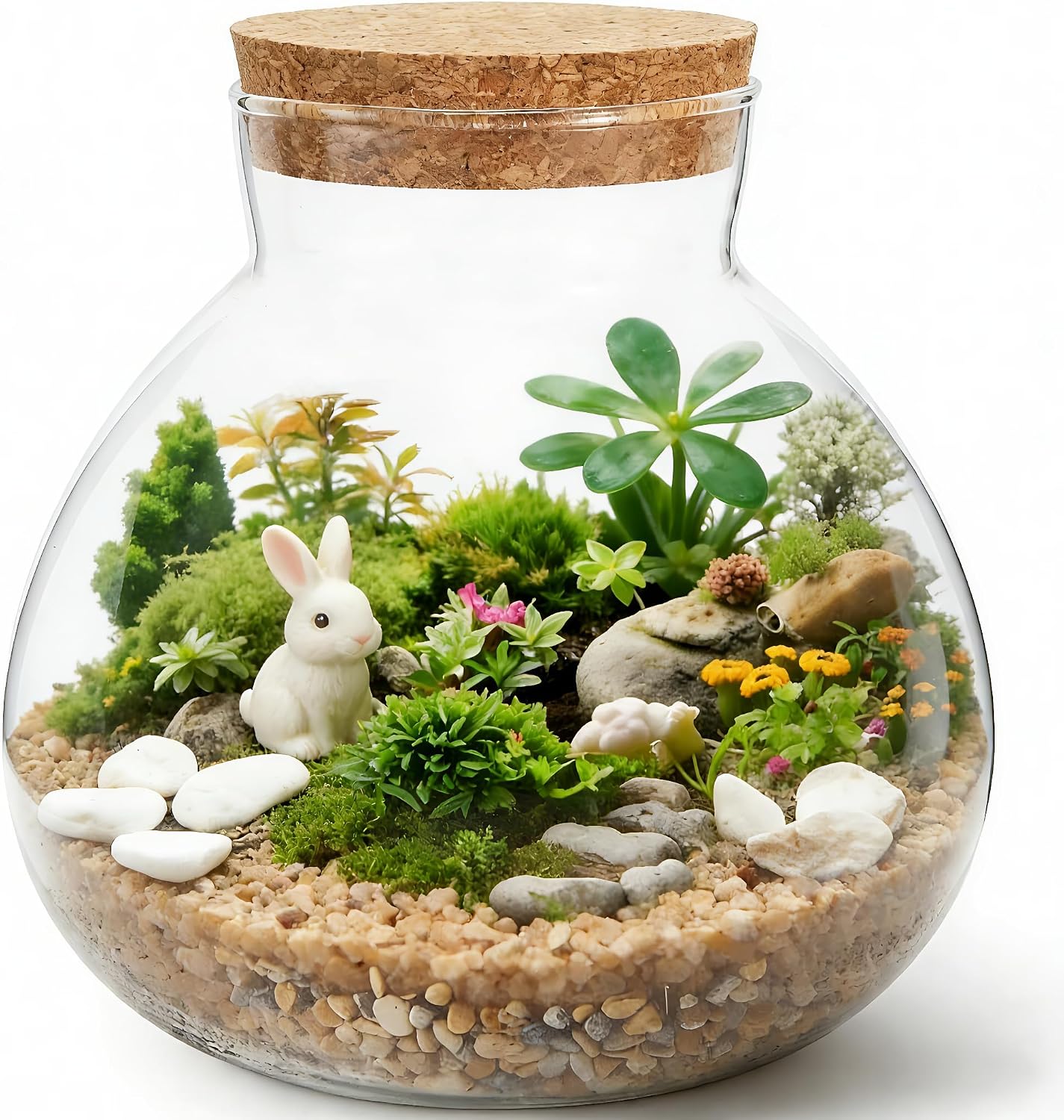 NUOBESTY Glass Terrarium Jar with Cork Lid