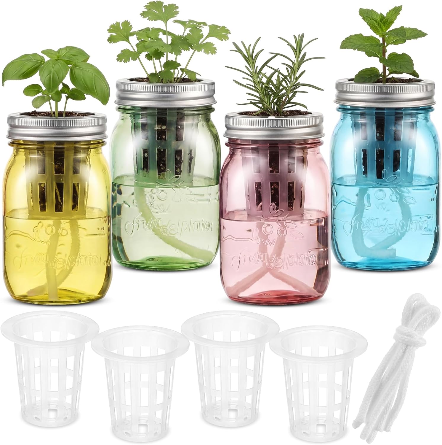 Colored Hydroponic Mason Garden Jar Bulk 16 oz, Self Watering Herb Planter Kit, 4 Set
