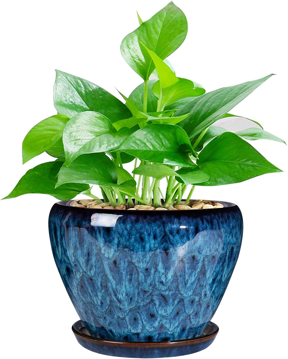Ceramic Modern Glaze Planter Pot with Drainage Hole and Saucer, 6 Inch Round