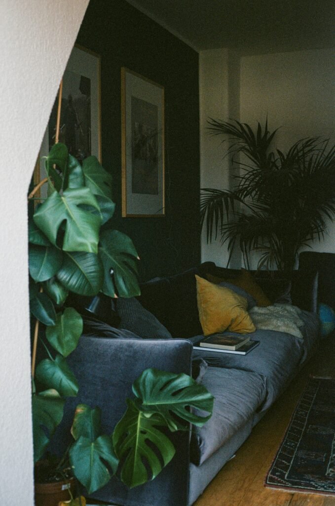 Deep green plants fitting naturally into a moody color palette