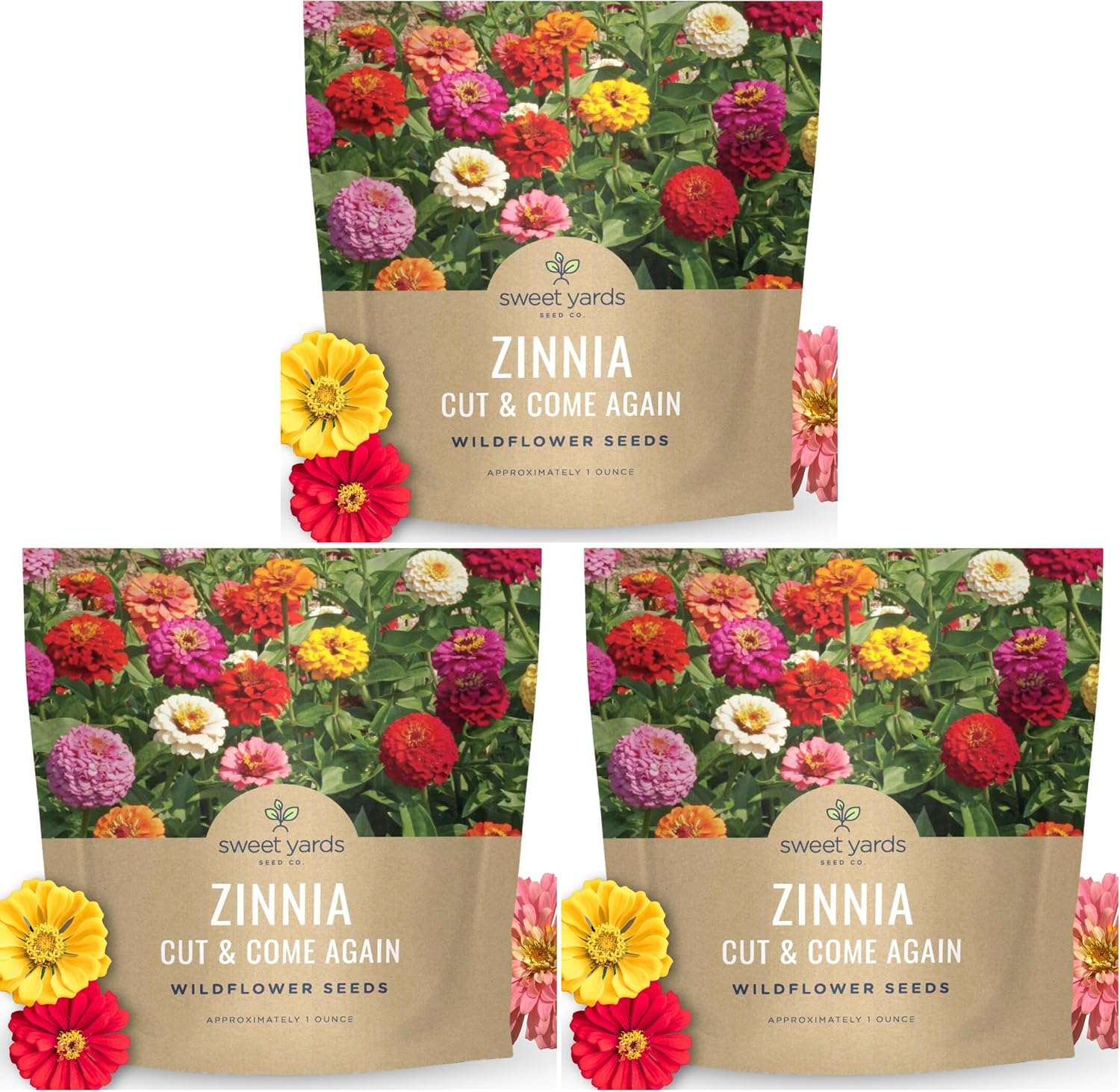 Zinnia Cut and Come Again Mix, 1 Ounce Packet, 4,000 Flower Seeds