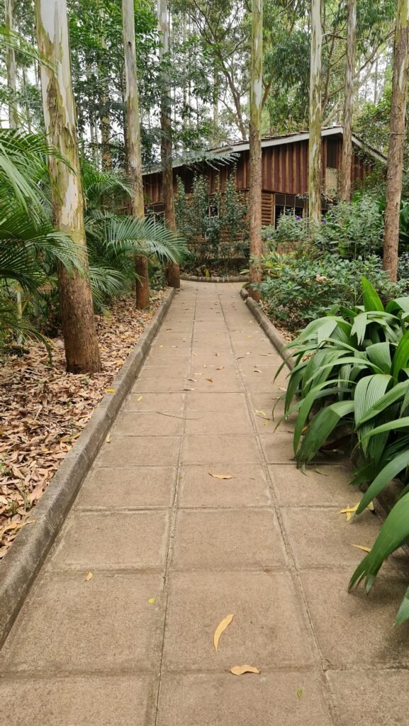 Cobblestone patio bringing storybook charm to the backyard