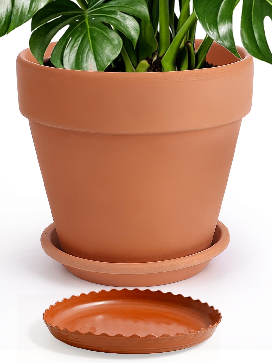 INGOFIN 12 Inch Terracotta Pot with Saucer and Drainage Hole