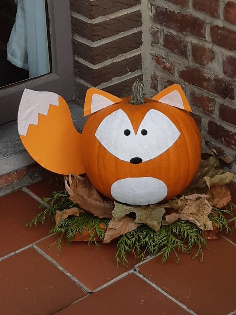 Cute fox face carved into an orange pumpkin