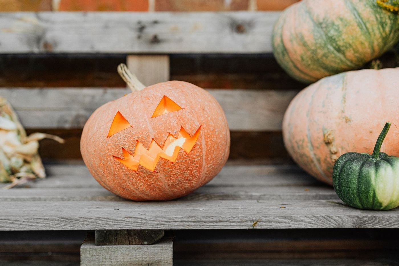 Collection of cute carved pumpkins styled for a charming fall display