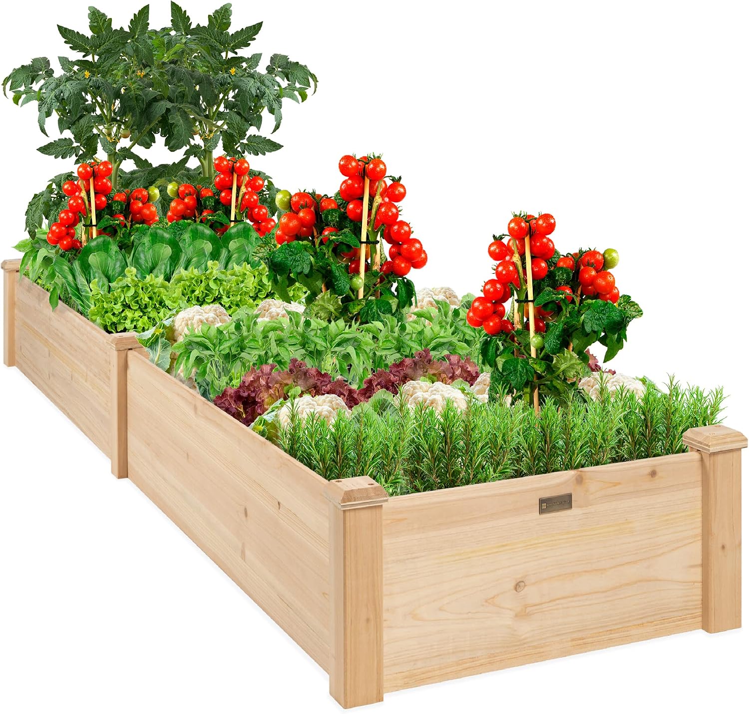 Best Choice Products 8 x 2 Ft Outdoor Wooden Raised Garden Bed Planter