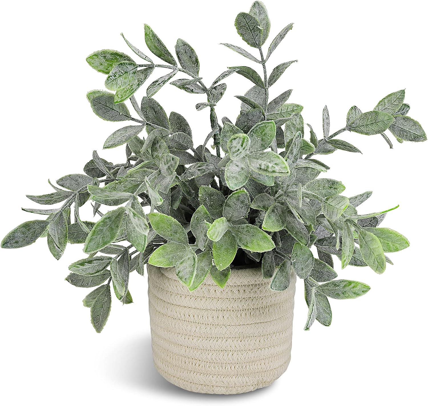 Hopewood Small Faux Plant in Pot for Bathroom, Desk and Shelves