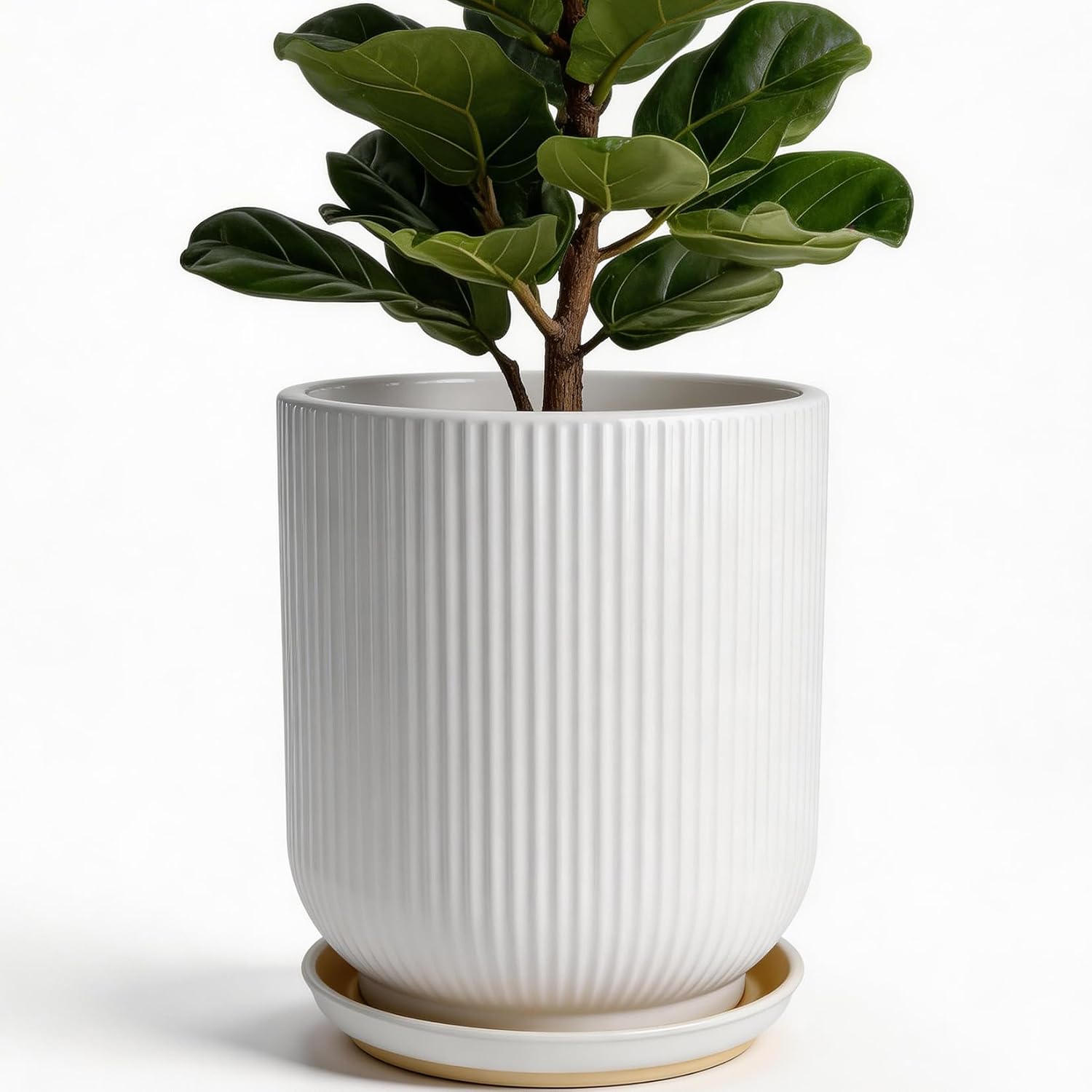 Deep Dream 10 Inch Ceramic Plant Pot with Drainage Hole and Saucer