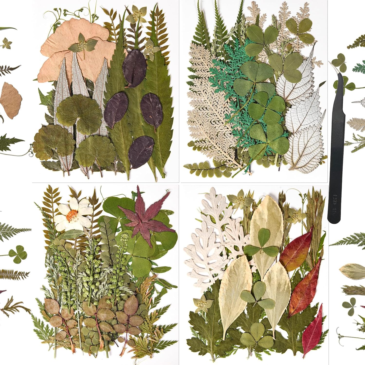 110 Piece Pressed Dried Flowers and Leaves for Crafts and Resin