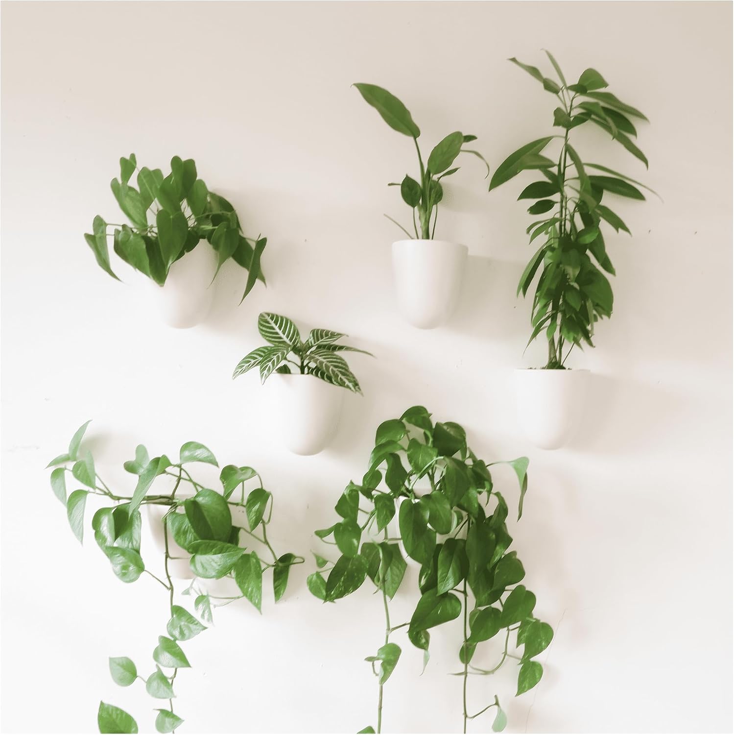 Make Good PlantPod Luxe Self-Watering Wall Planters, Set of 6