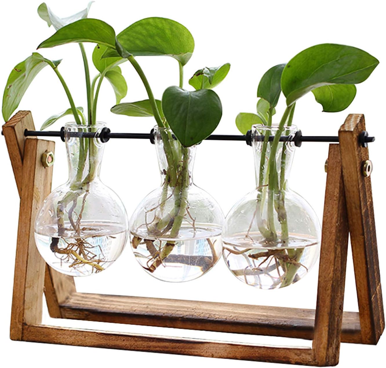 XXXFLOWER Plant Terrarium with Wooden Stand, Glass Bulb Propagation Station
