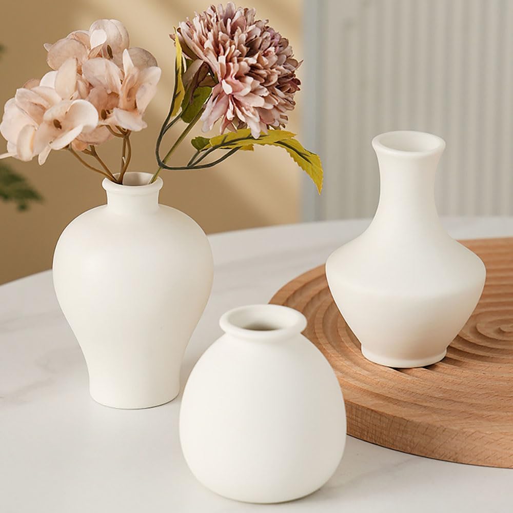 Daittin 3-Piece Mini Ceramic Bud Vases Set, Small White Matte Vases for Dried Flowers