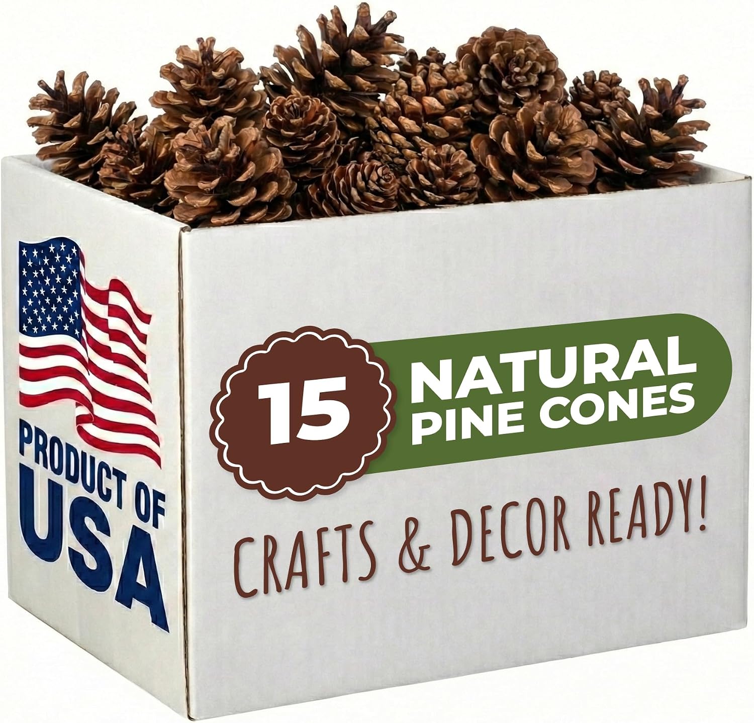 15 Natural Pine Cones for Crafts and Rustic Decorating, USA-Grown