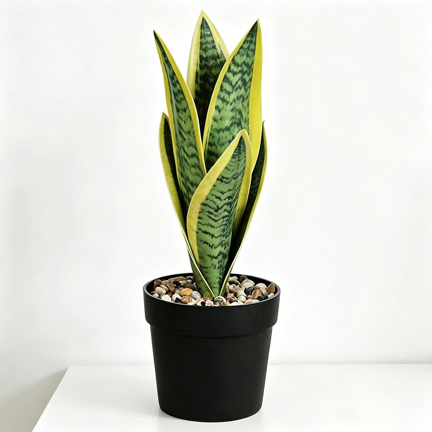 Mini plants Small Artificial Snake Plant in Black Pot 10.5