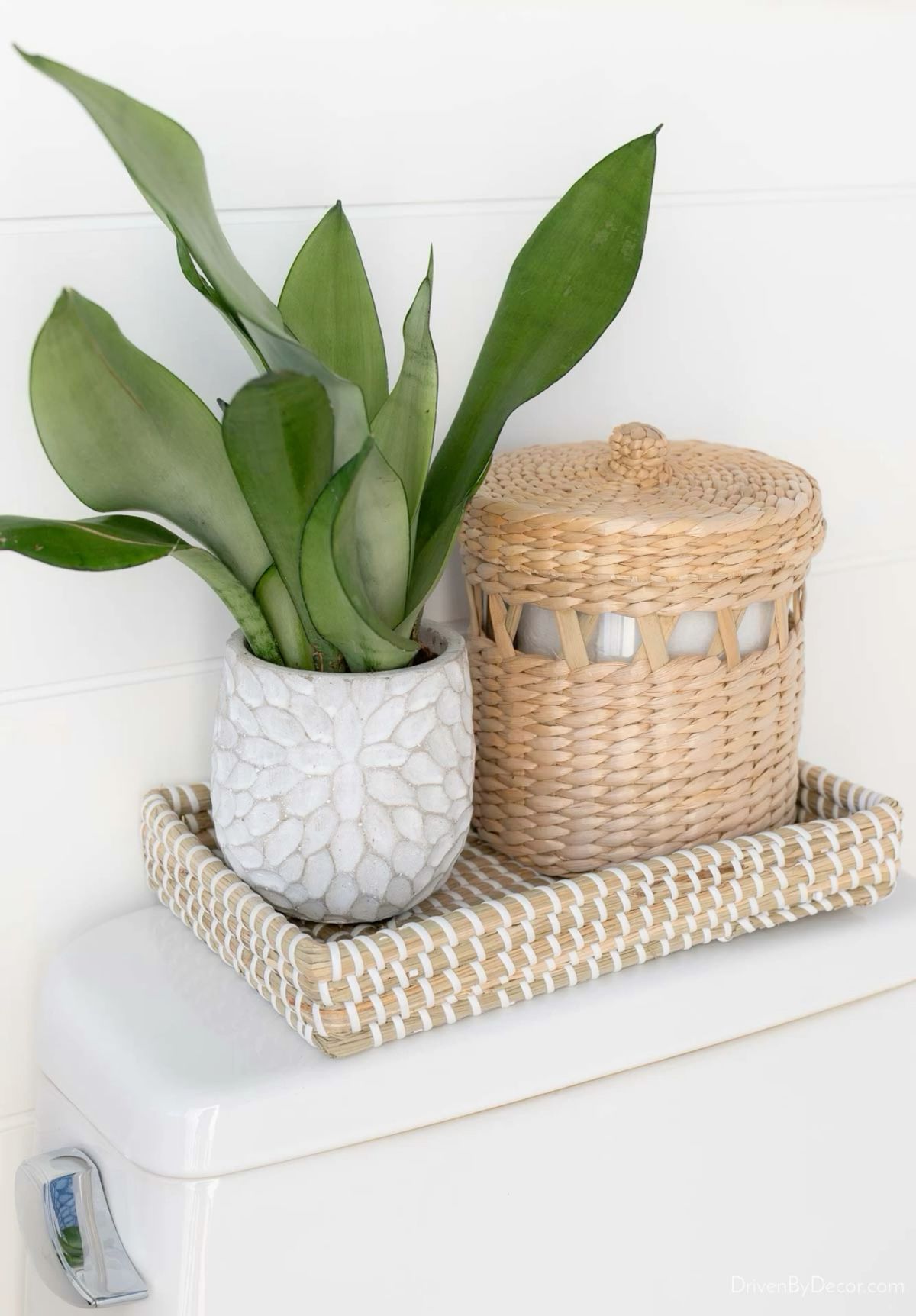 Snake plant and a woven lidded jar styled on a woven tray on a toilet tank