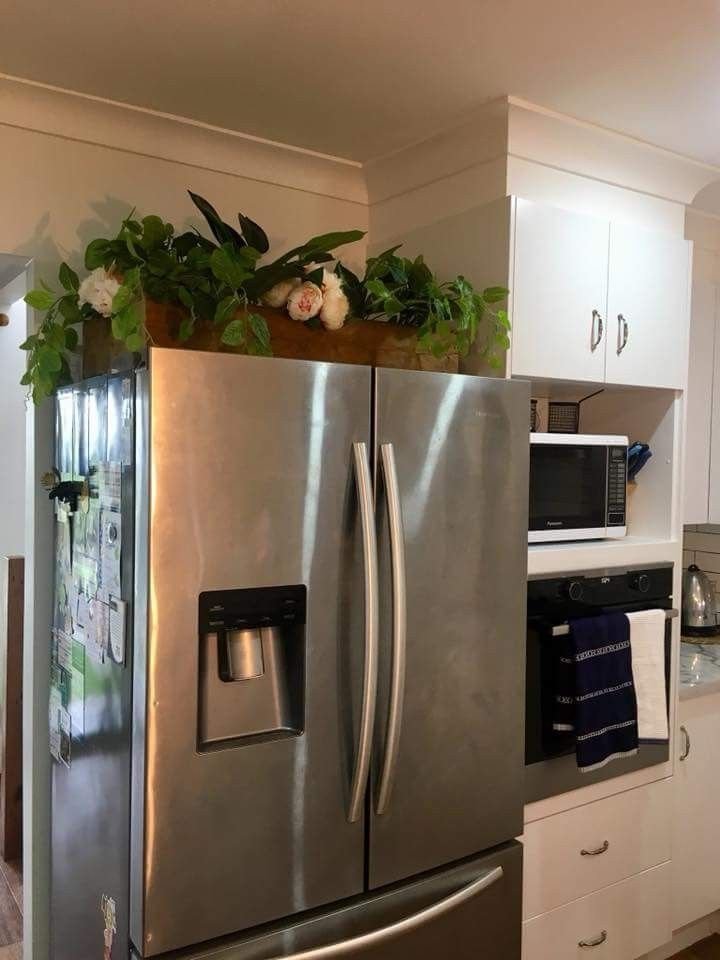Trailing greenery styled above a stainless steel refrigerator