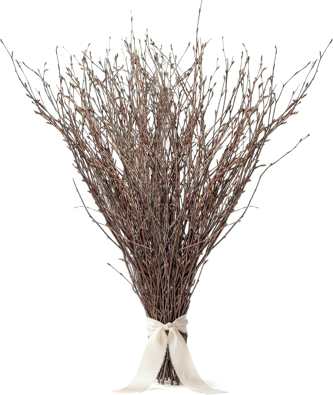Sukh 40 Pcs Natural Dried Birch Twigs, 12.8 Inch, for Vase Decor