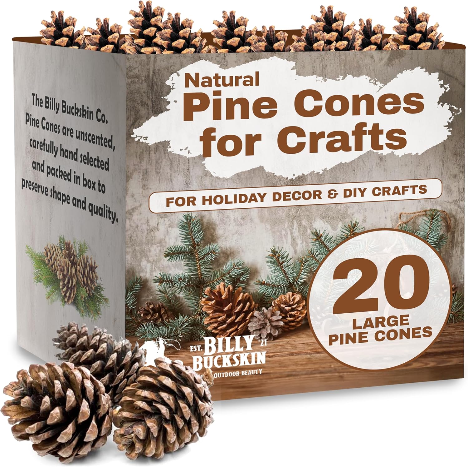 Billy Buckskin 20 Large Natural Pine Cones for Crafts, 3 to 4 Inch Tall